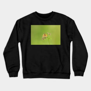 Tiny Dancer Crewneck Sweatshirt